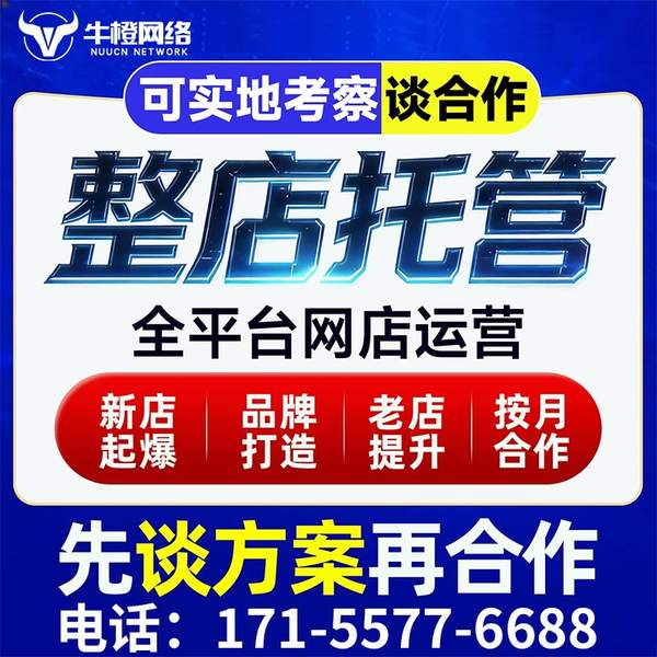 天水电商代运营