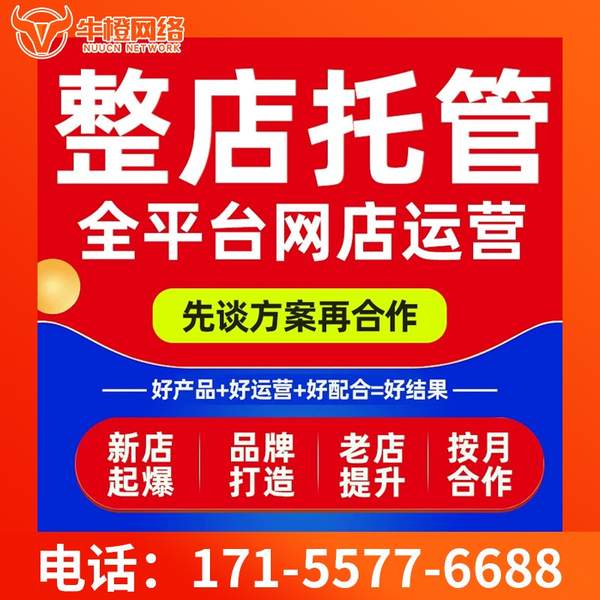 天水电商代运营