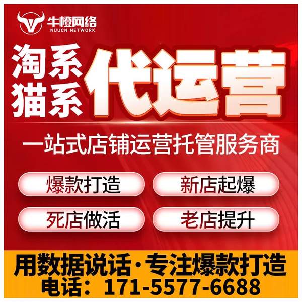 天水电商代运营